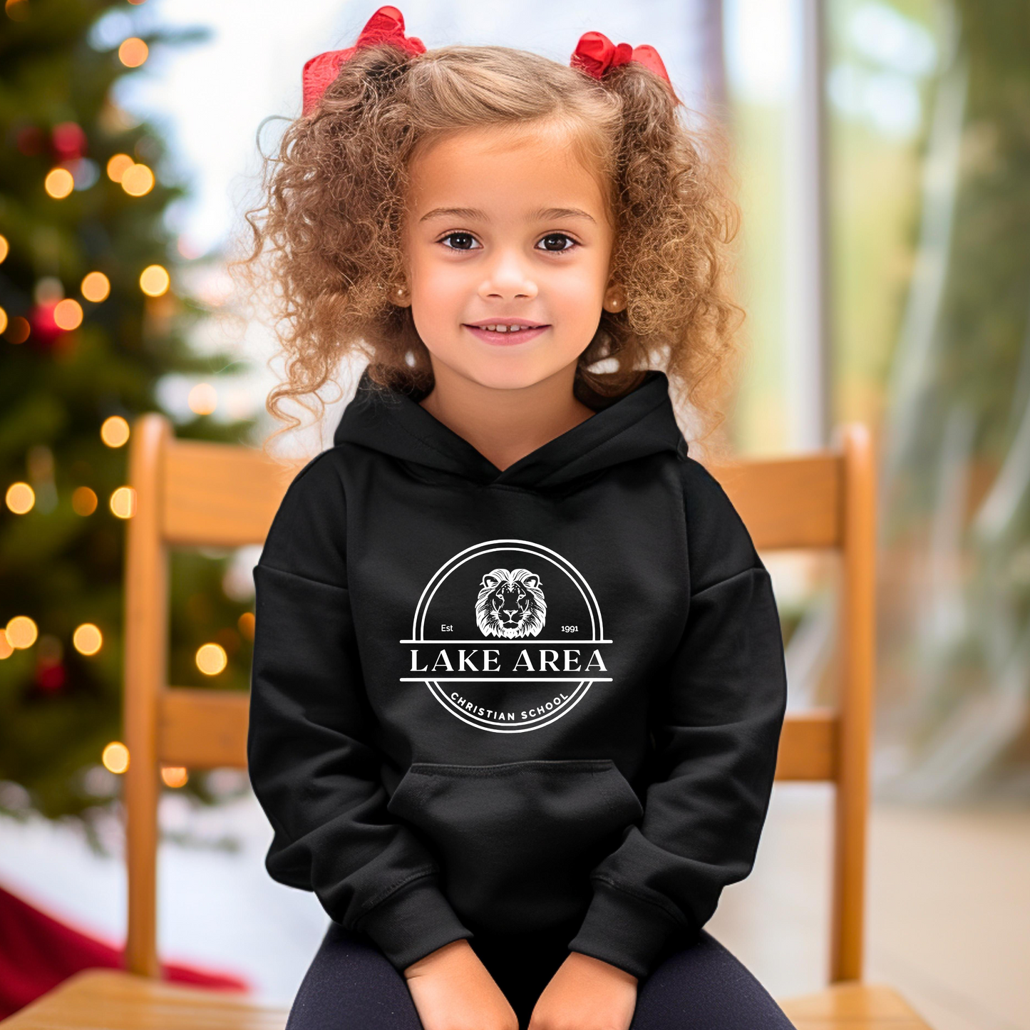 Lake Area Hoodie